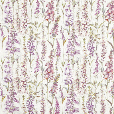 Cecelia Crocus
