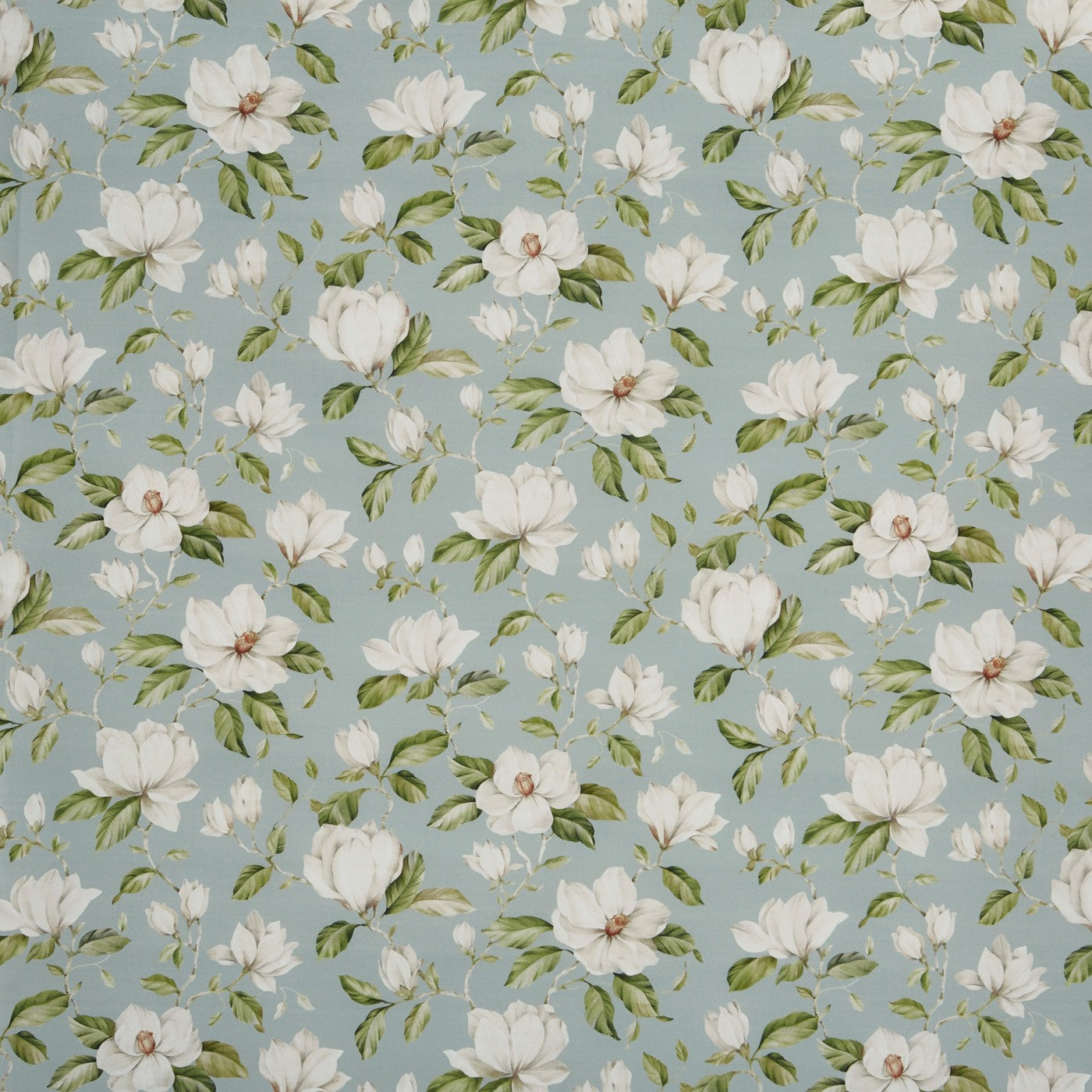 Magnolia Porcelain