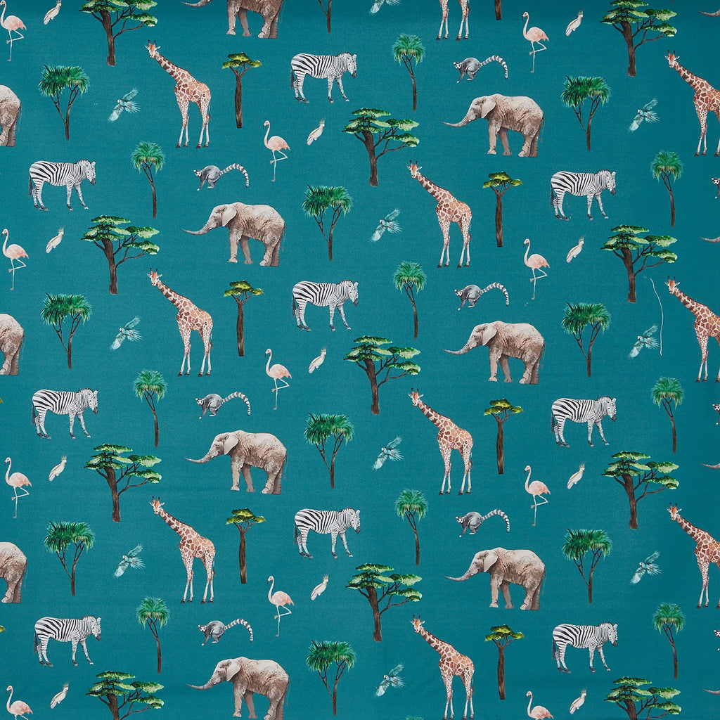On Safari Reef