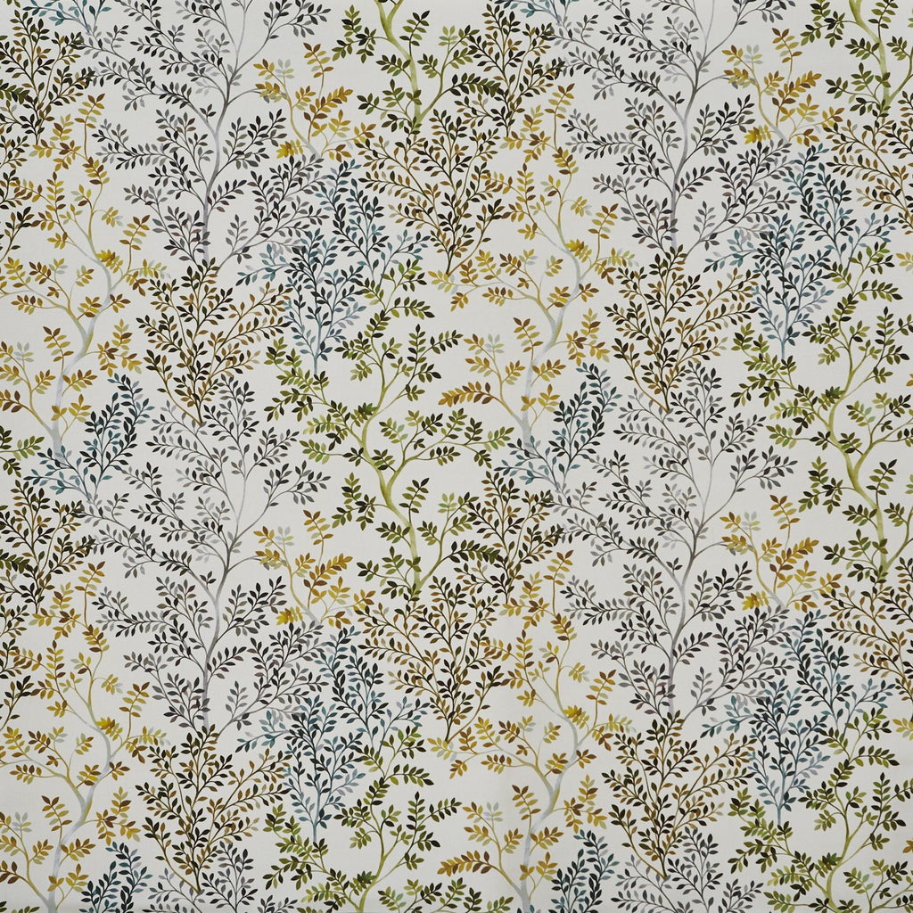 Dickens Willow (pts101)