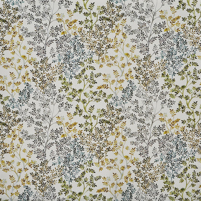 Dickens Willow (pts101)