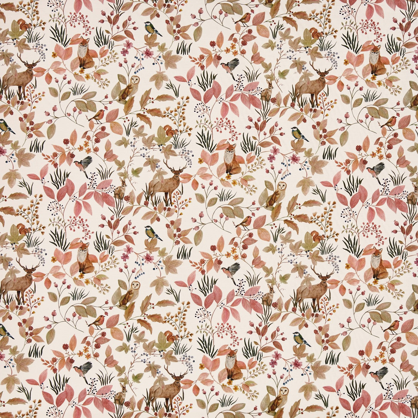 Hedgerow Woodrose (pts110)