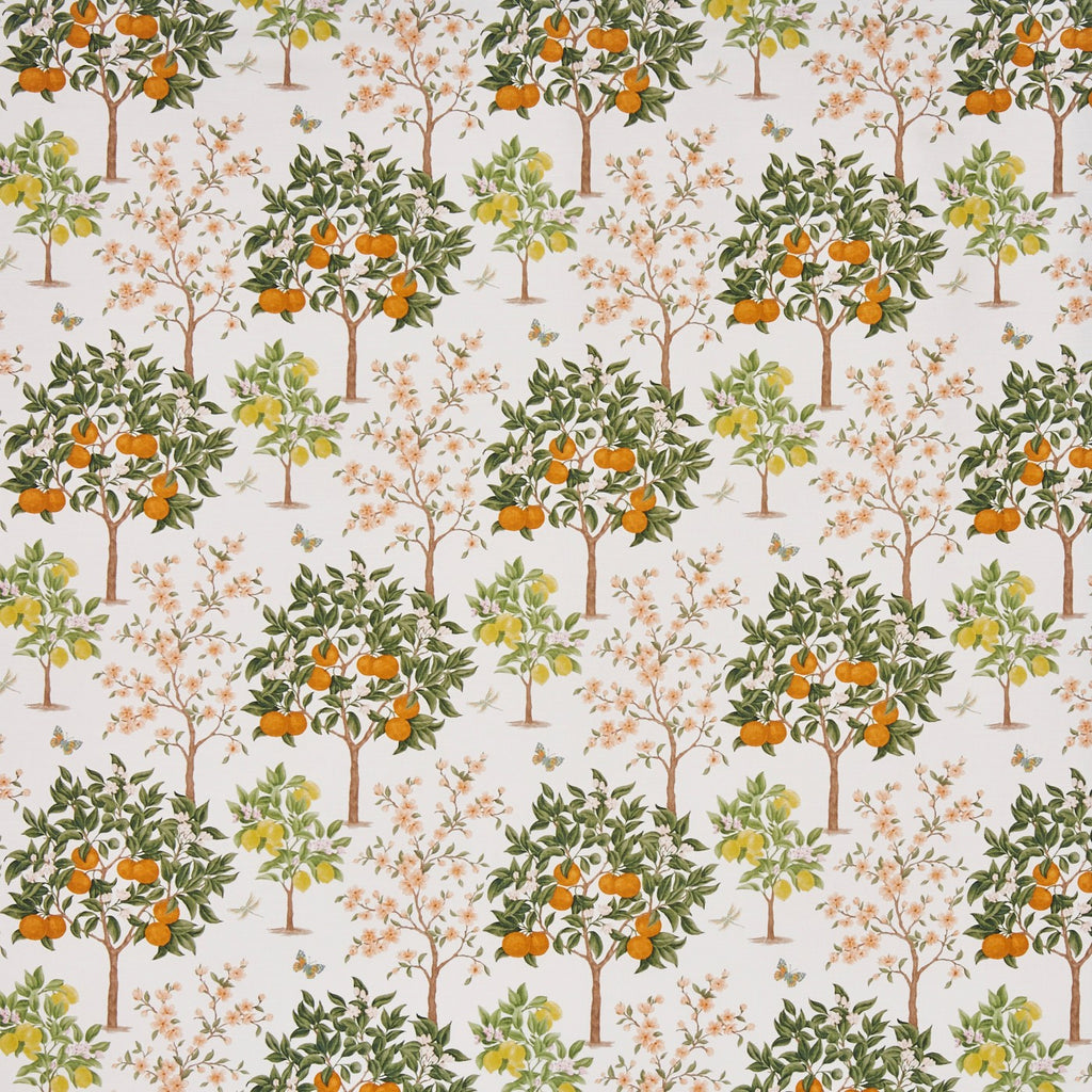 Lemon Grove Pear (pts110)