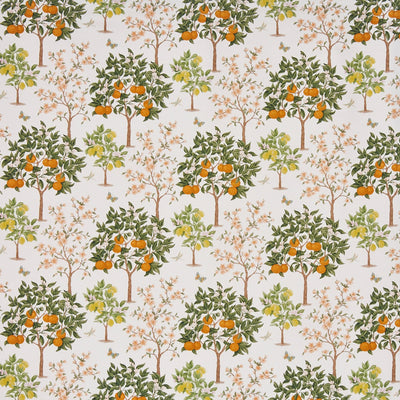 Lemon Grove Pear (pts110)
