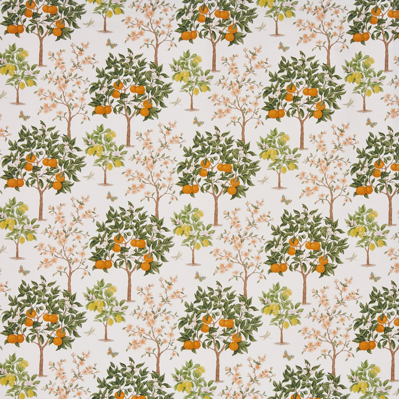 Lemon Grove Pear (pts110)