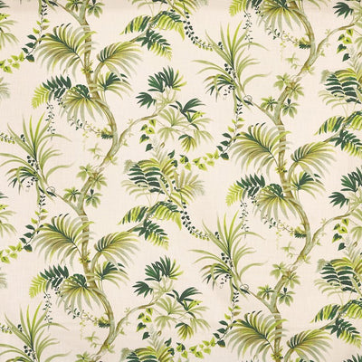 Analeigh Palm (pts108)
