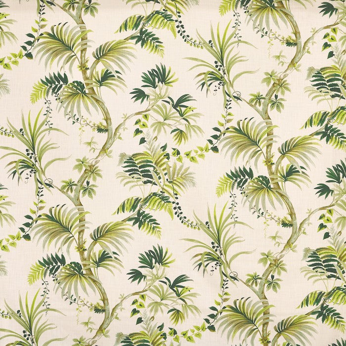 Analeigh Palm (pts108)