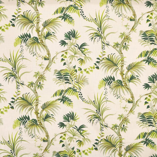 Analeigh Palm (pts108)