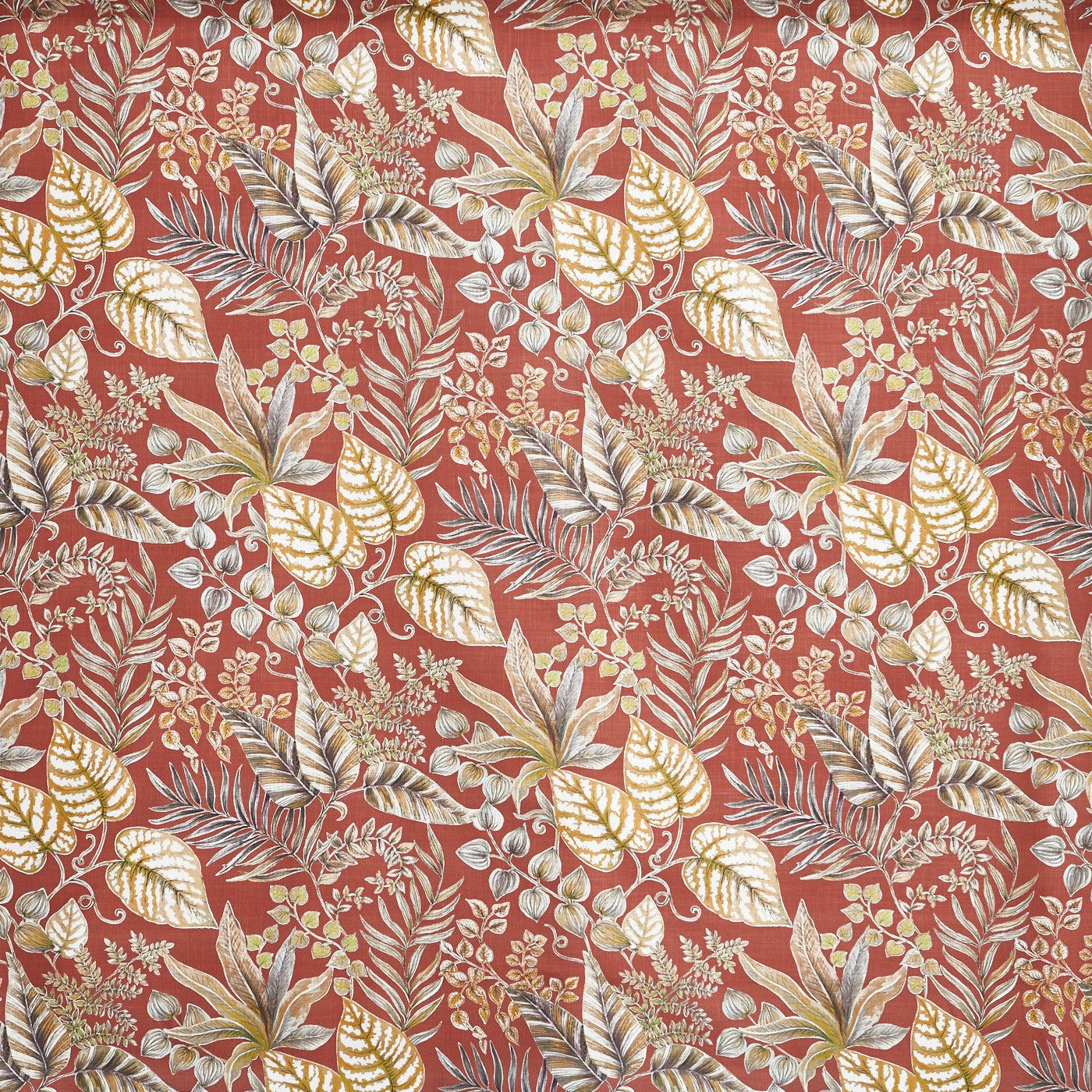 Paloma Terracotta (pts108)