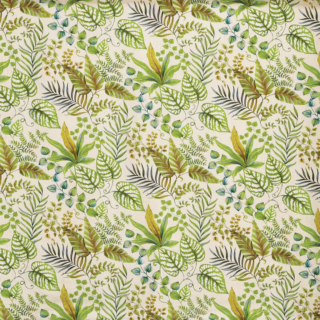 Paloma Palm (pts108)