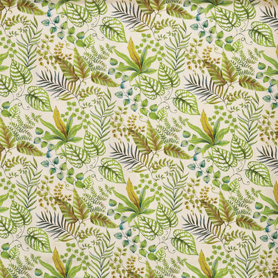 Paloma Palm (pts108)