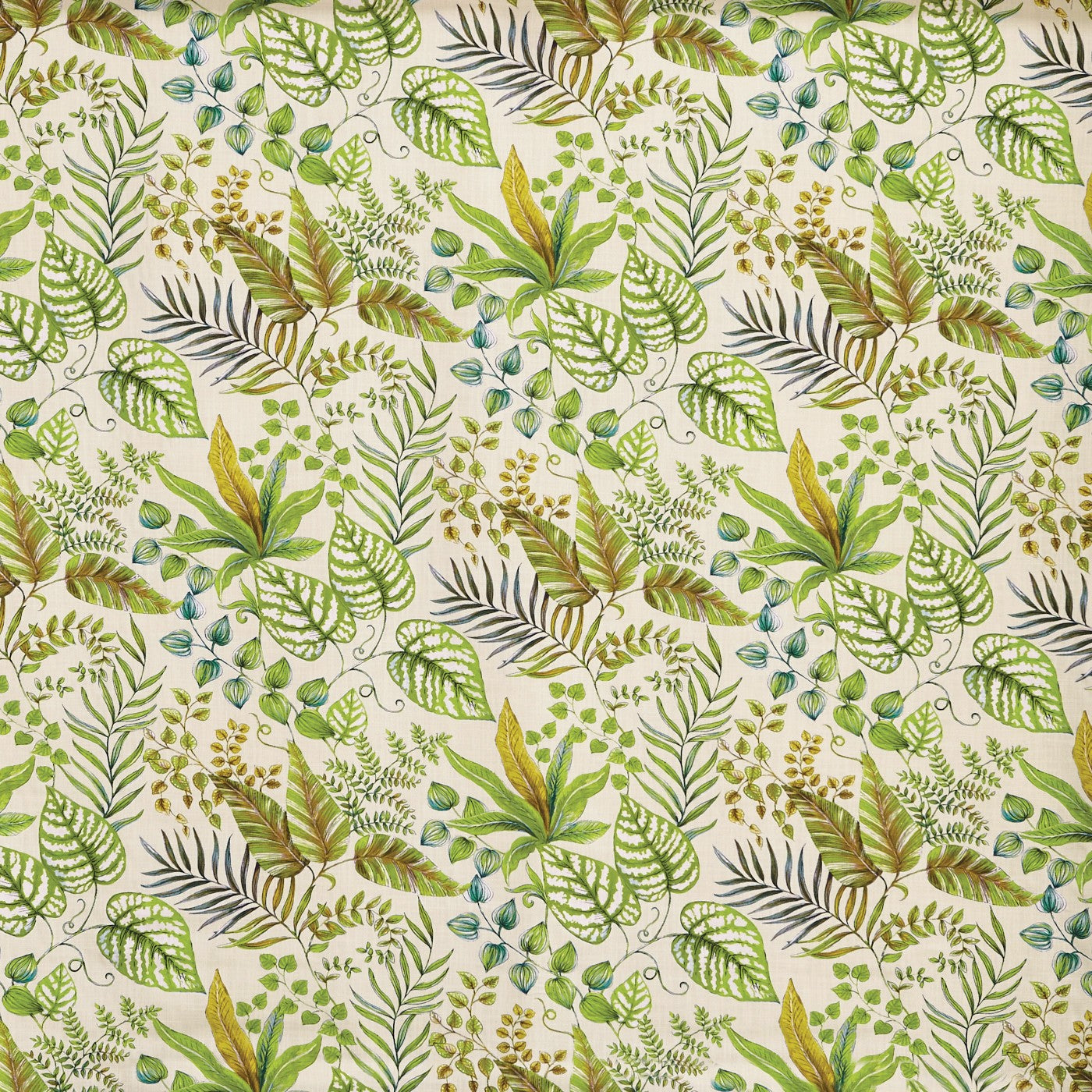 Paloma Palm (pts108)