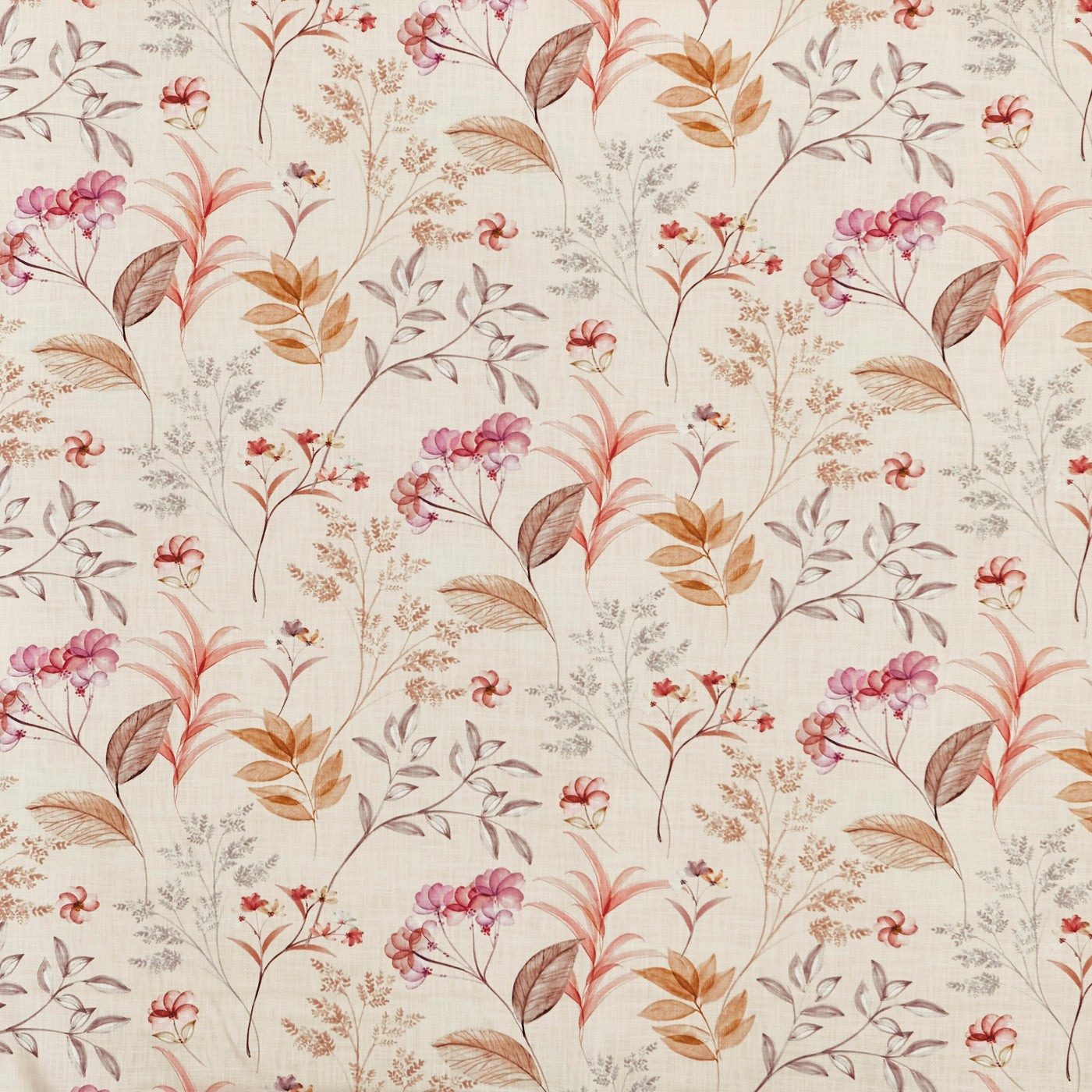 Verbena Rhubarb (pts108)