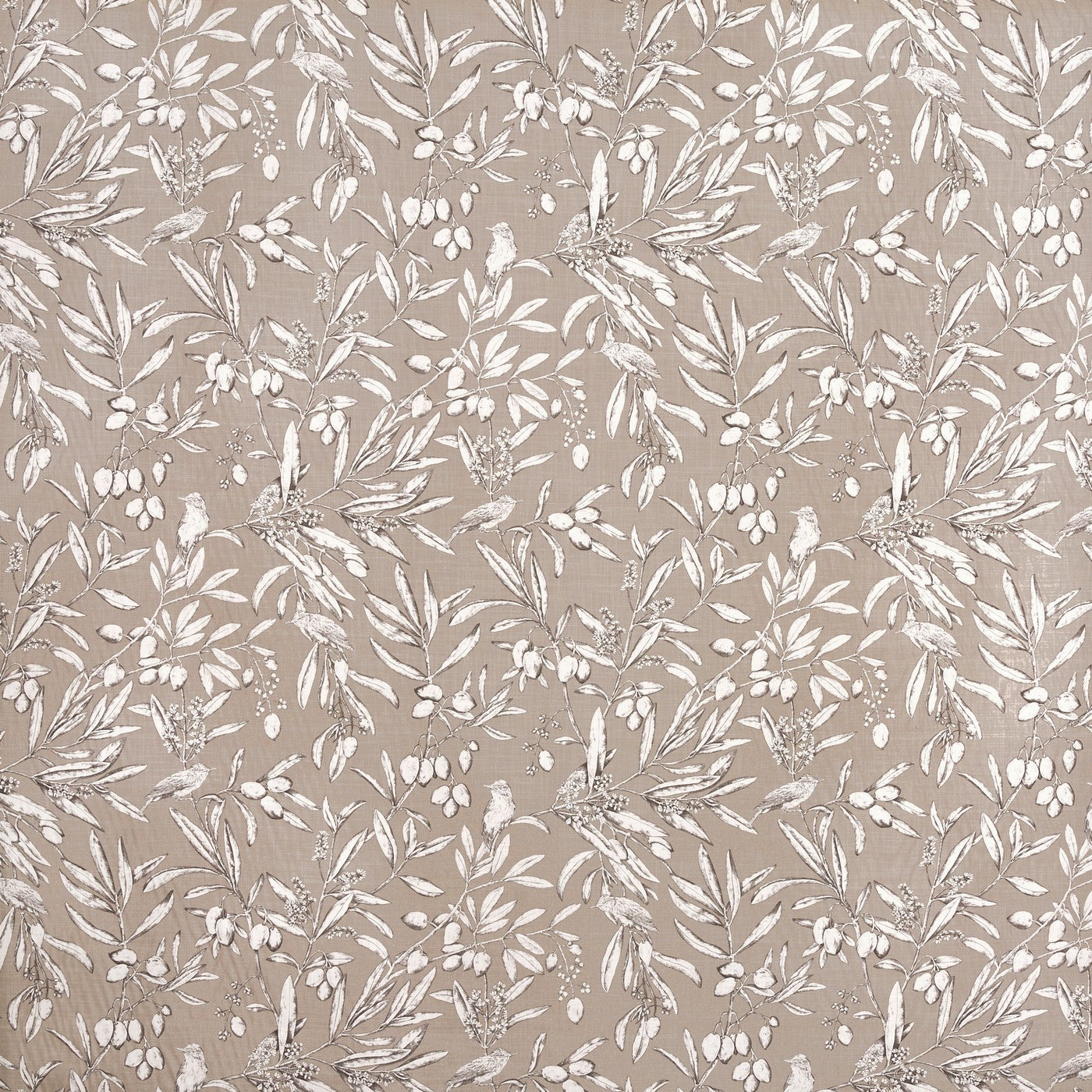 Aviary Parchment (pts108)