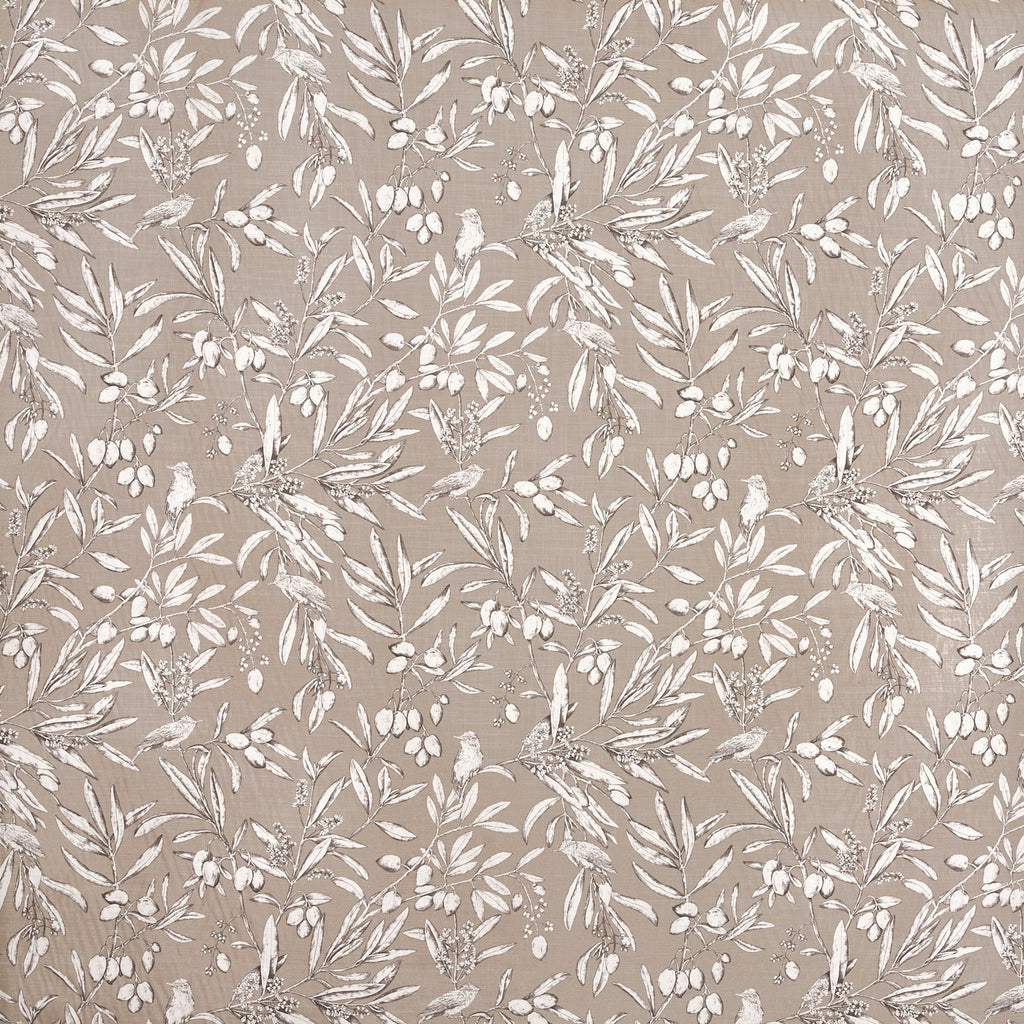 Aviary Parchment (pts108)