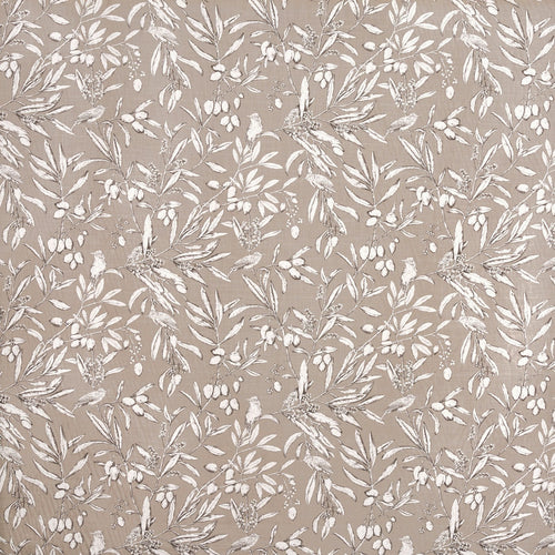 Aviary Parchment (pts108)