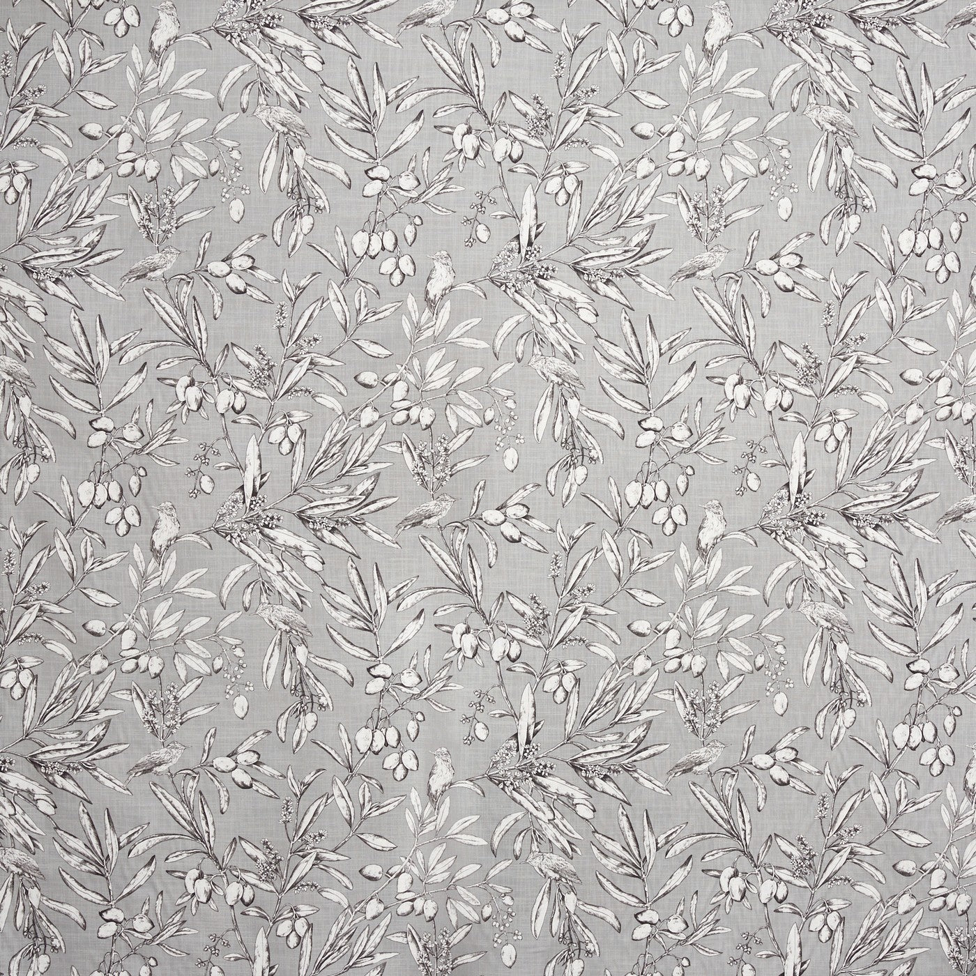 Aviary Frost (pts108)