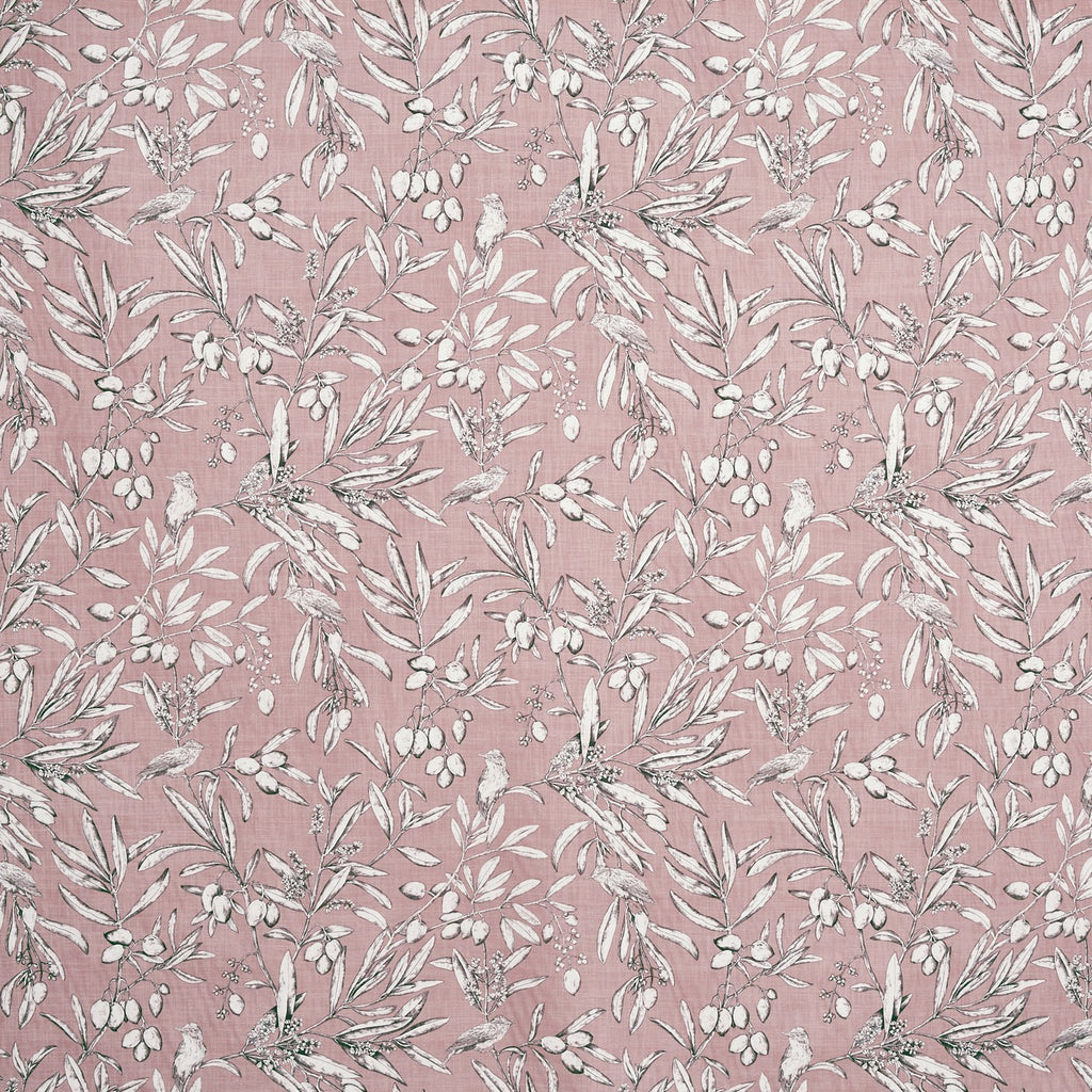 Aviary Woodrose (pts108)