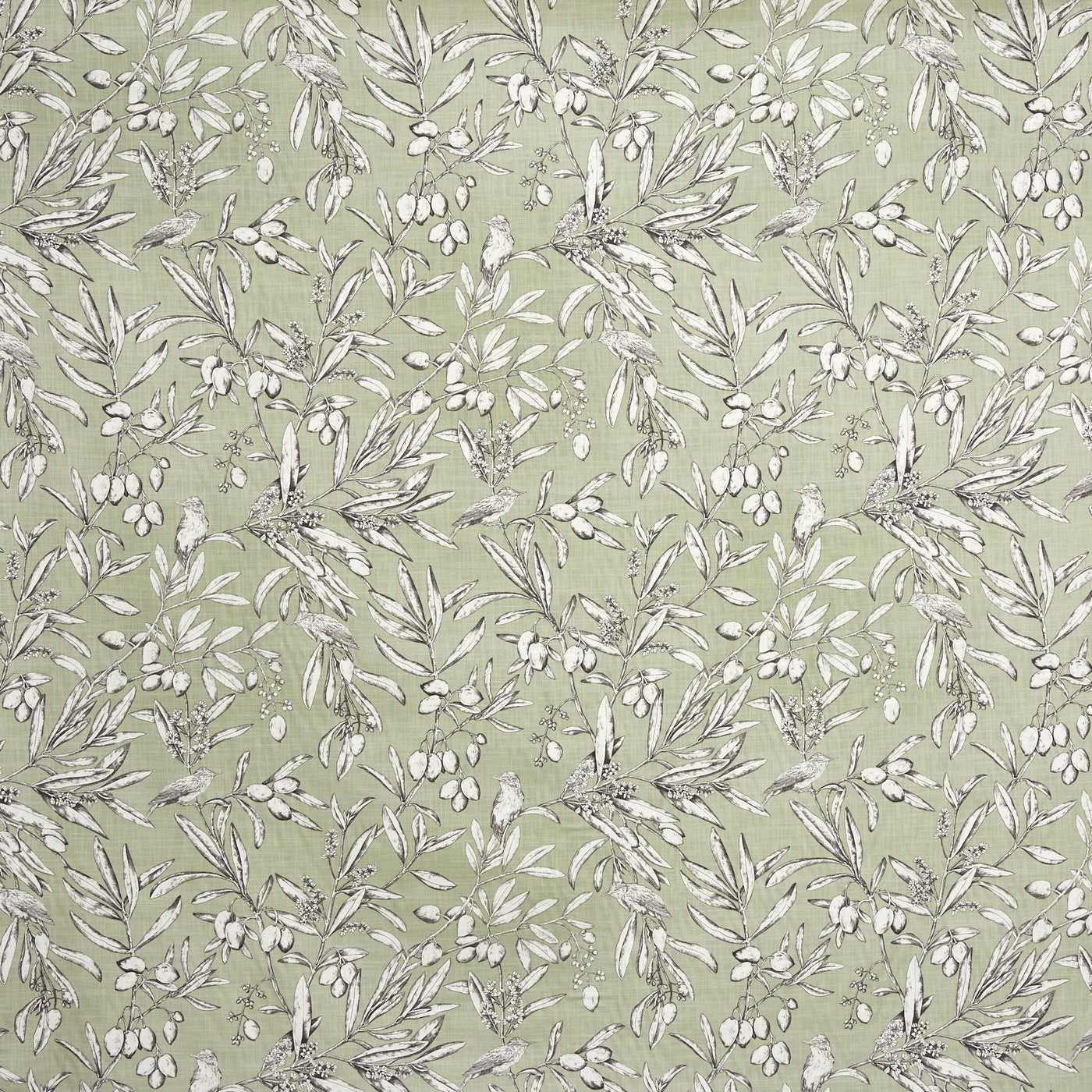 Aviary Apple (pts108)
