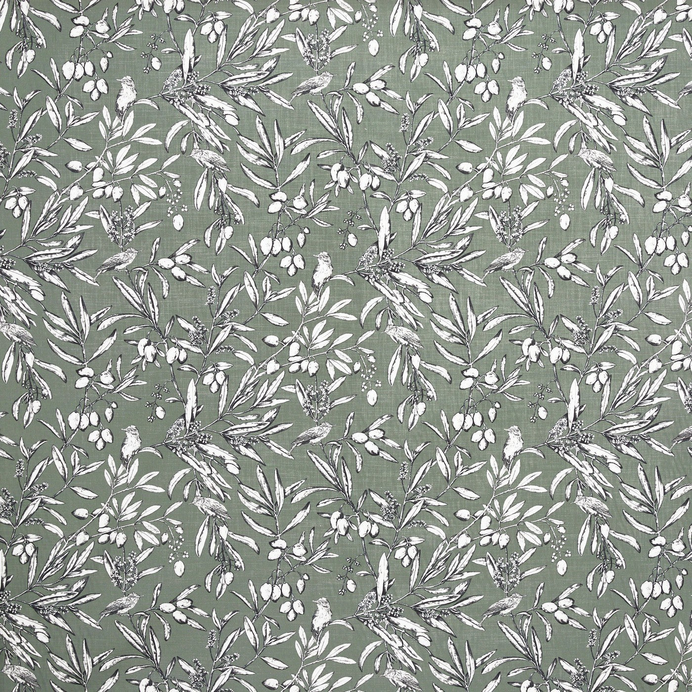 Aviary Moss (pts108)