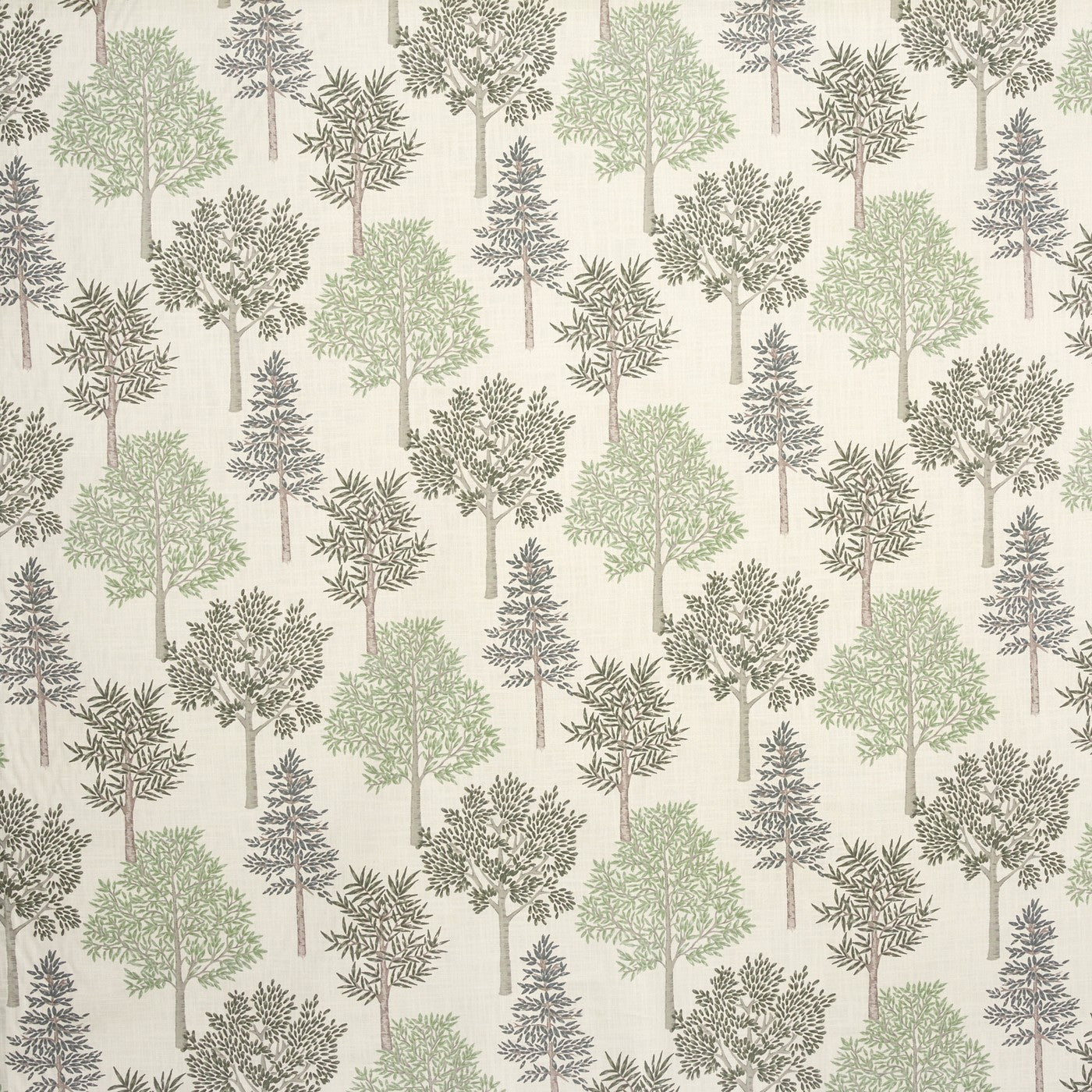 Coppice Apple (pts108)