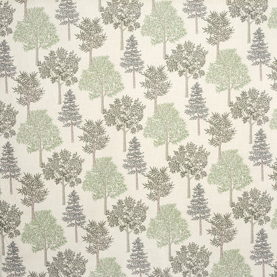 Coppice Apple (pts108)
