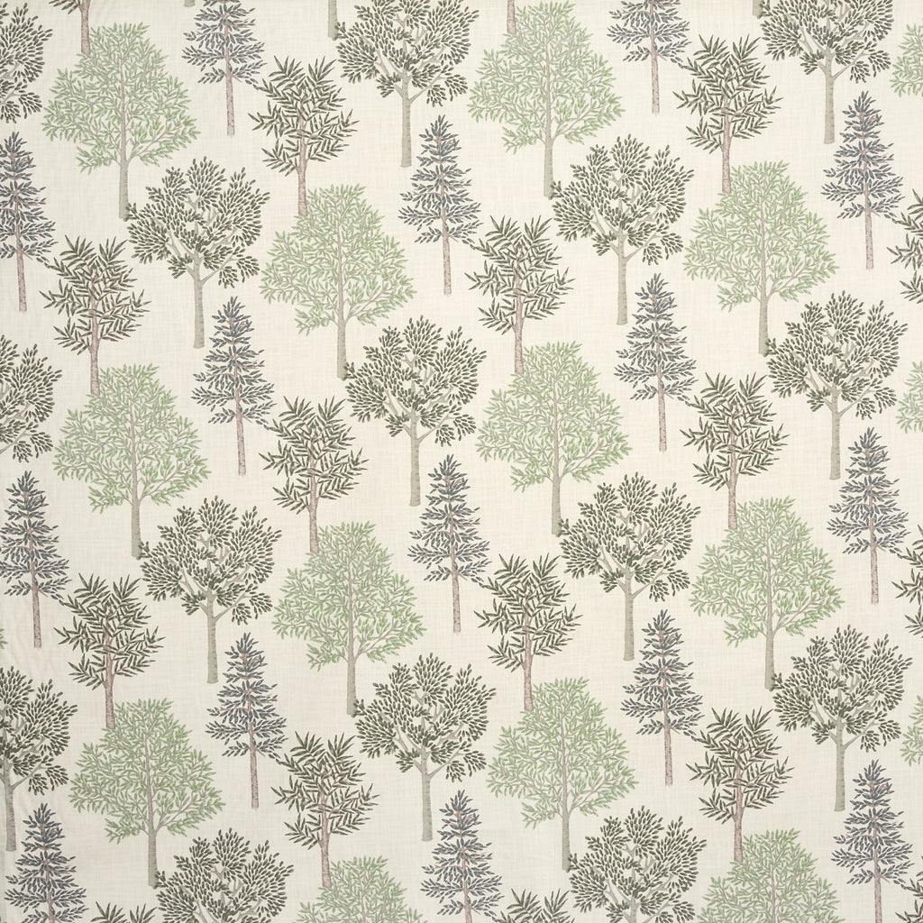Coppice Apple (pts108)