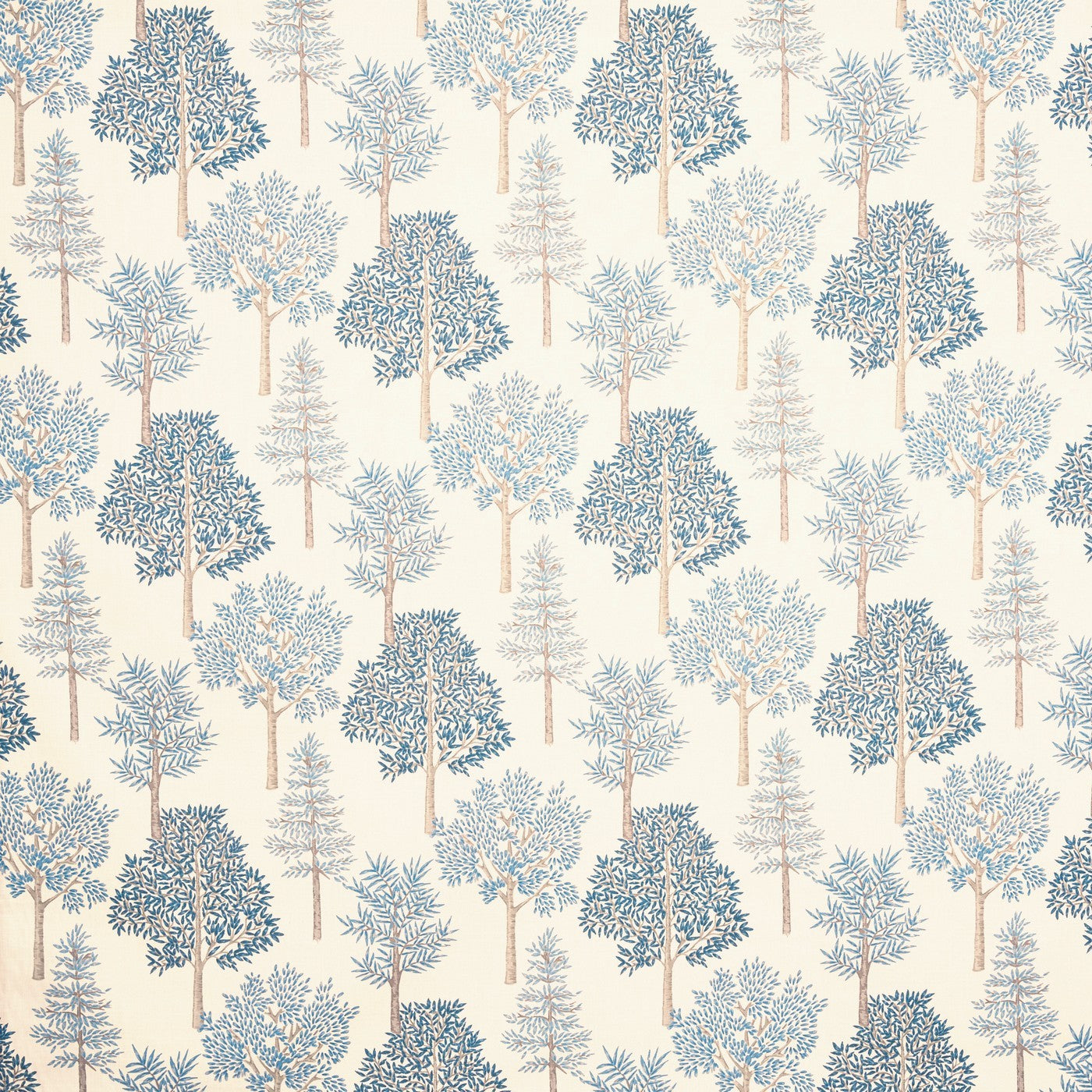 Coppice Bluebell (pts108)