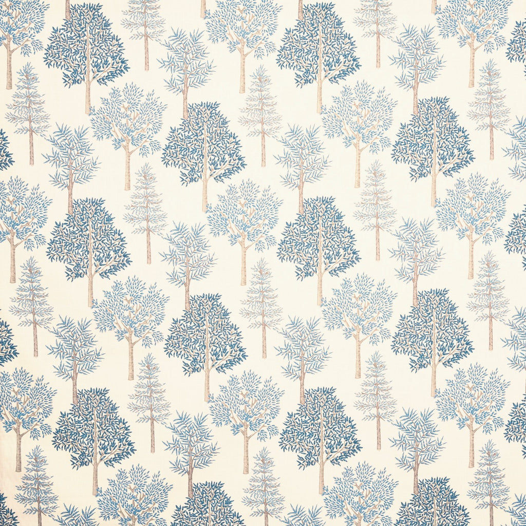 Coppice Bluebell (pts108)