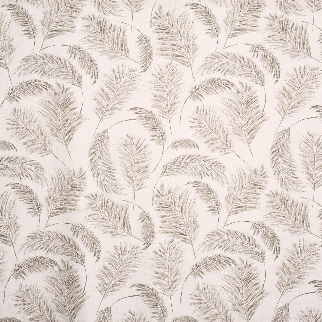 Pampas Grass Parchment (pts108)