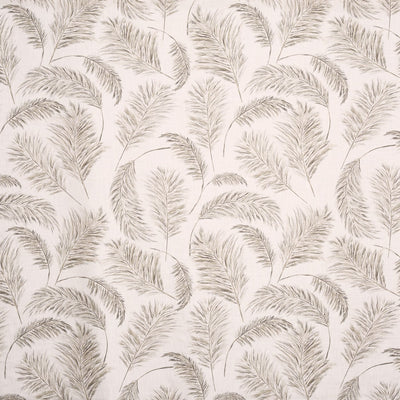Pampas Grass Parchment (pts108)