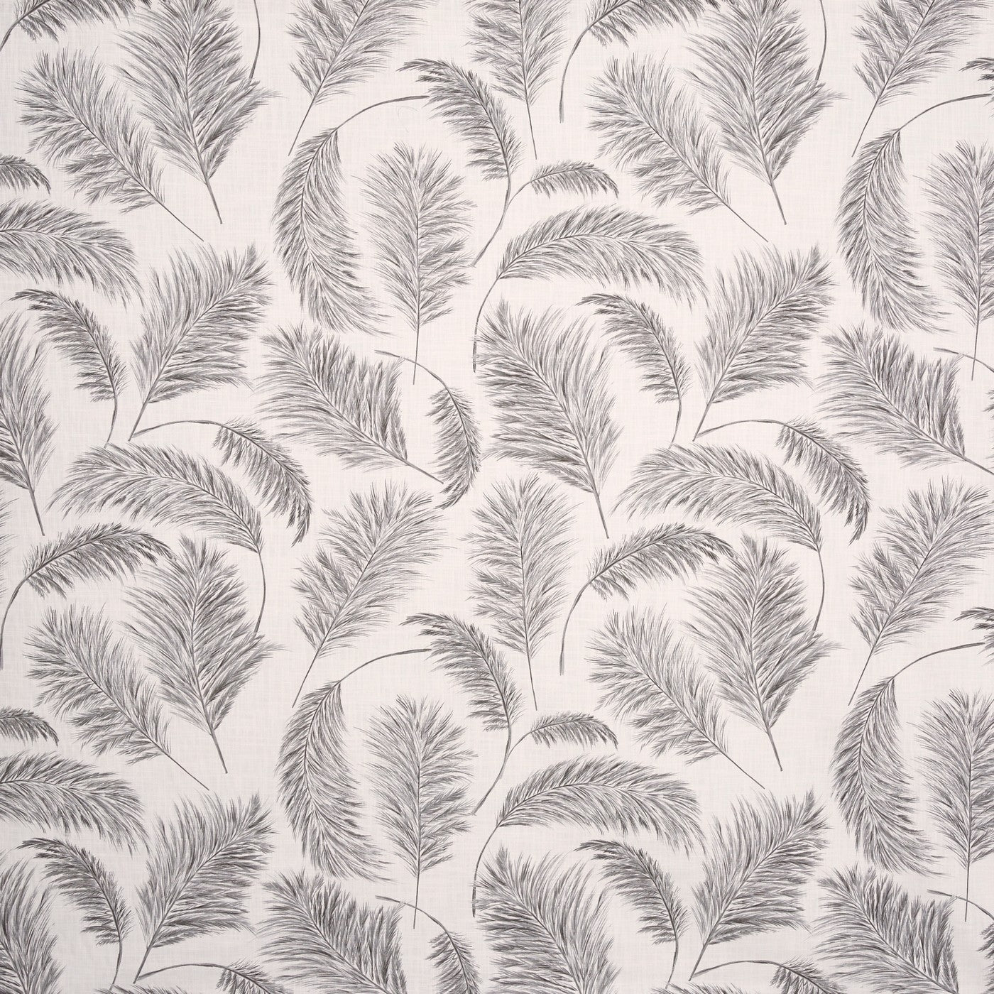 Pampas Grass Frost (pts108)