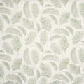 Pampas Grass Apple (pts108)