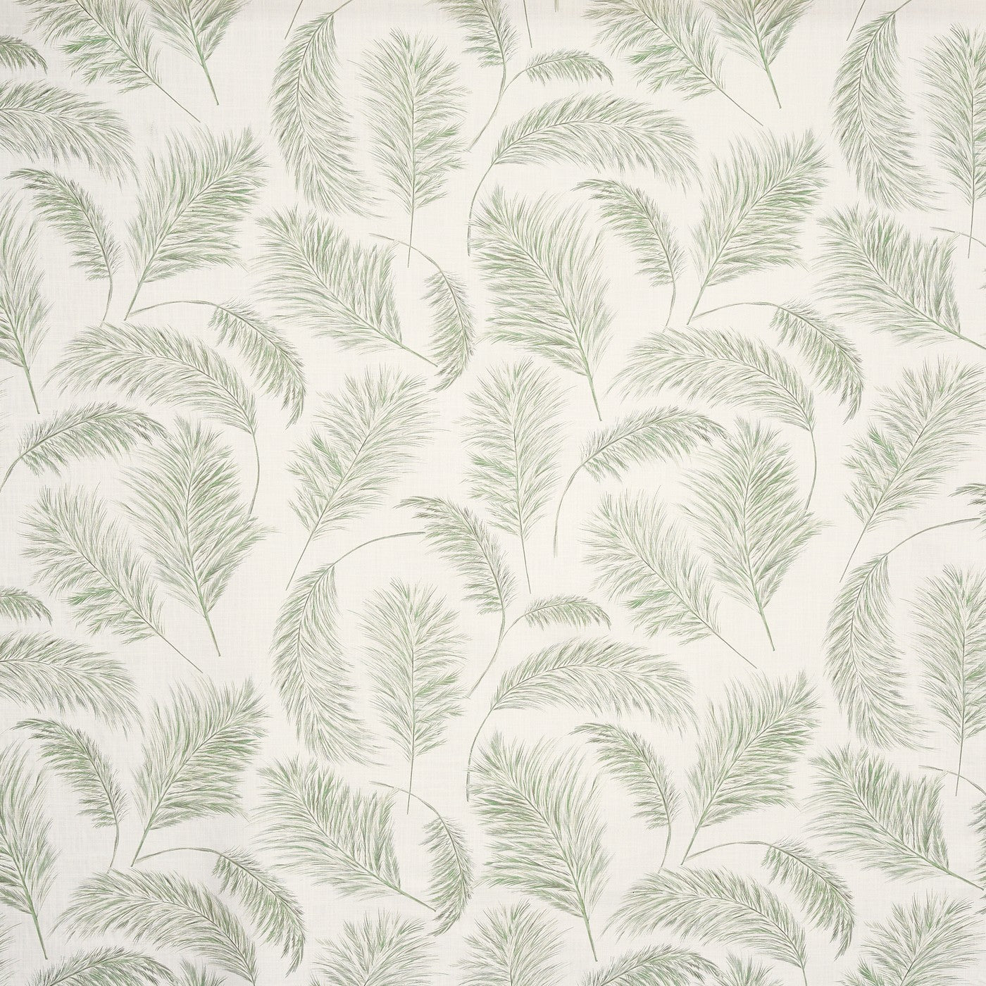Pampas Grass Apple (pts108)