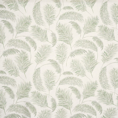 Pampas Grass Apple (pts108)