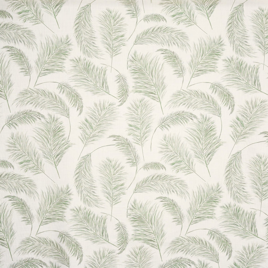 Pampas Grass Apple (pts108)