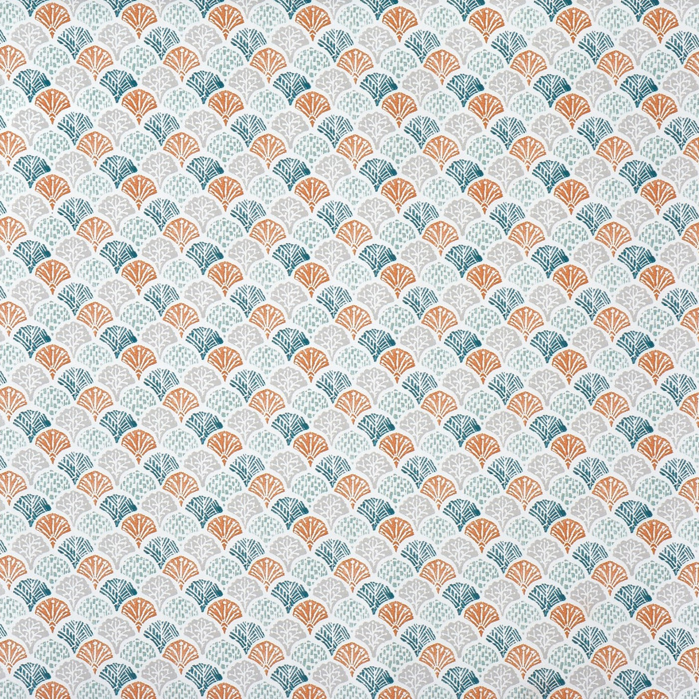 Foxley Apricot
