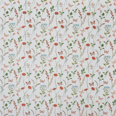 Gracie Apricot