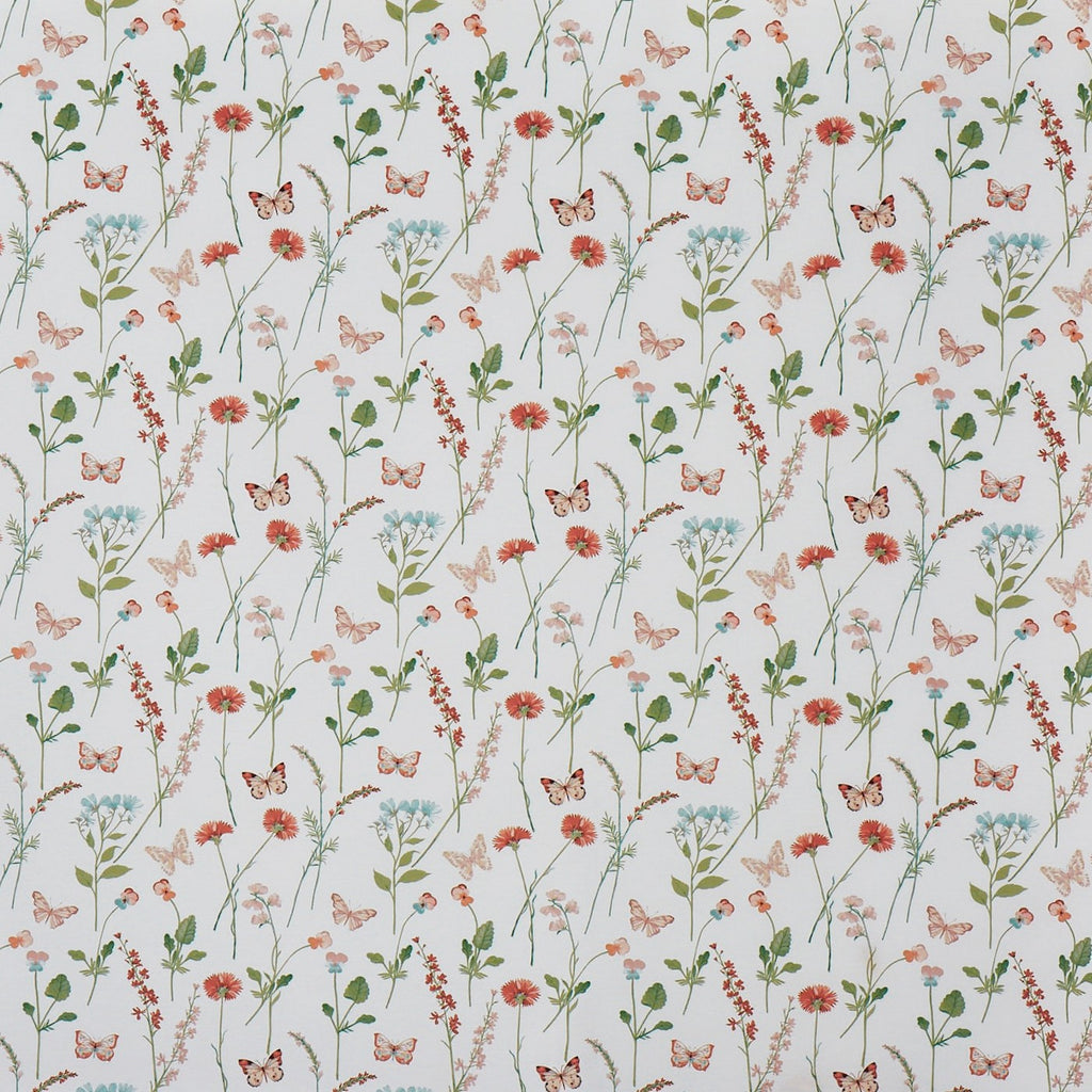 Gracie Apricot