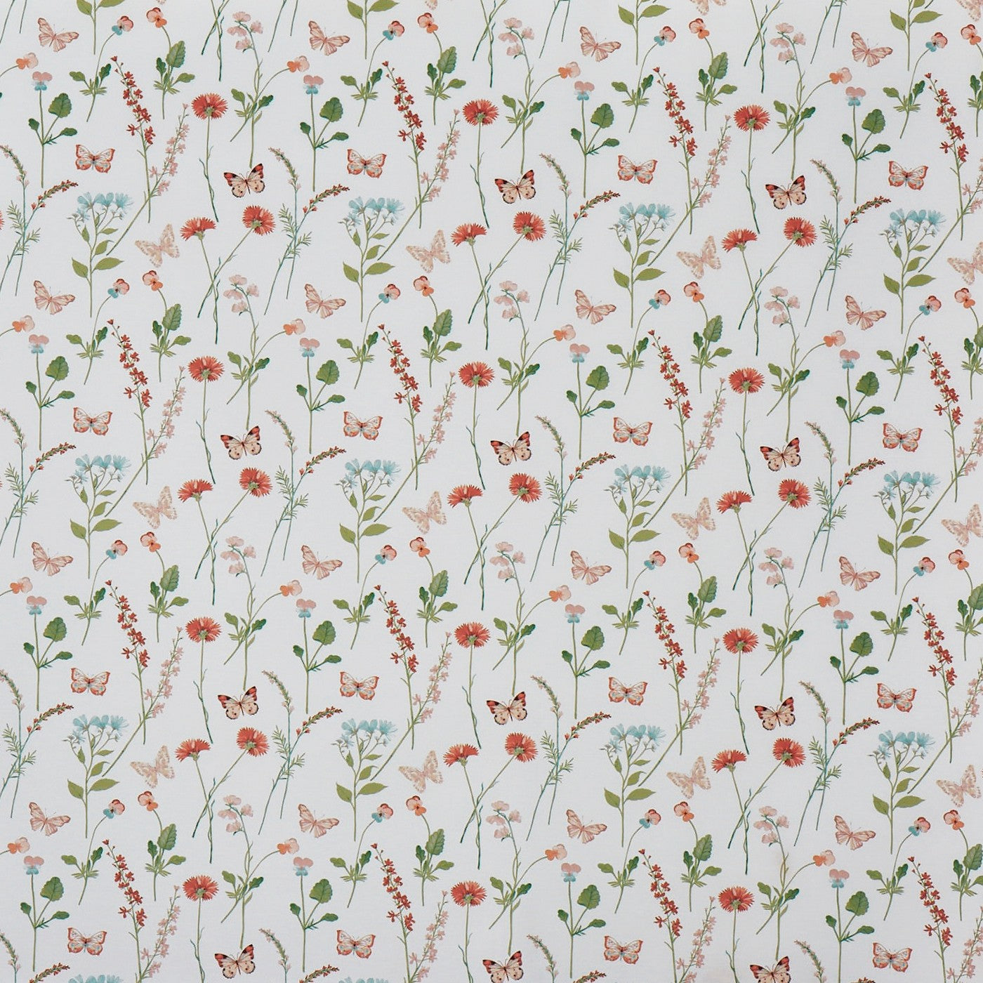 Gracie Apricot