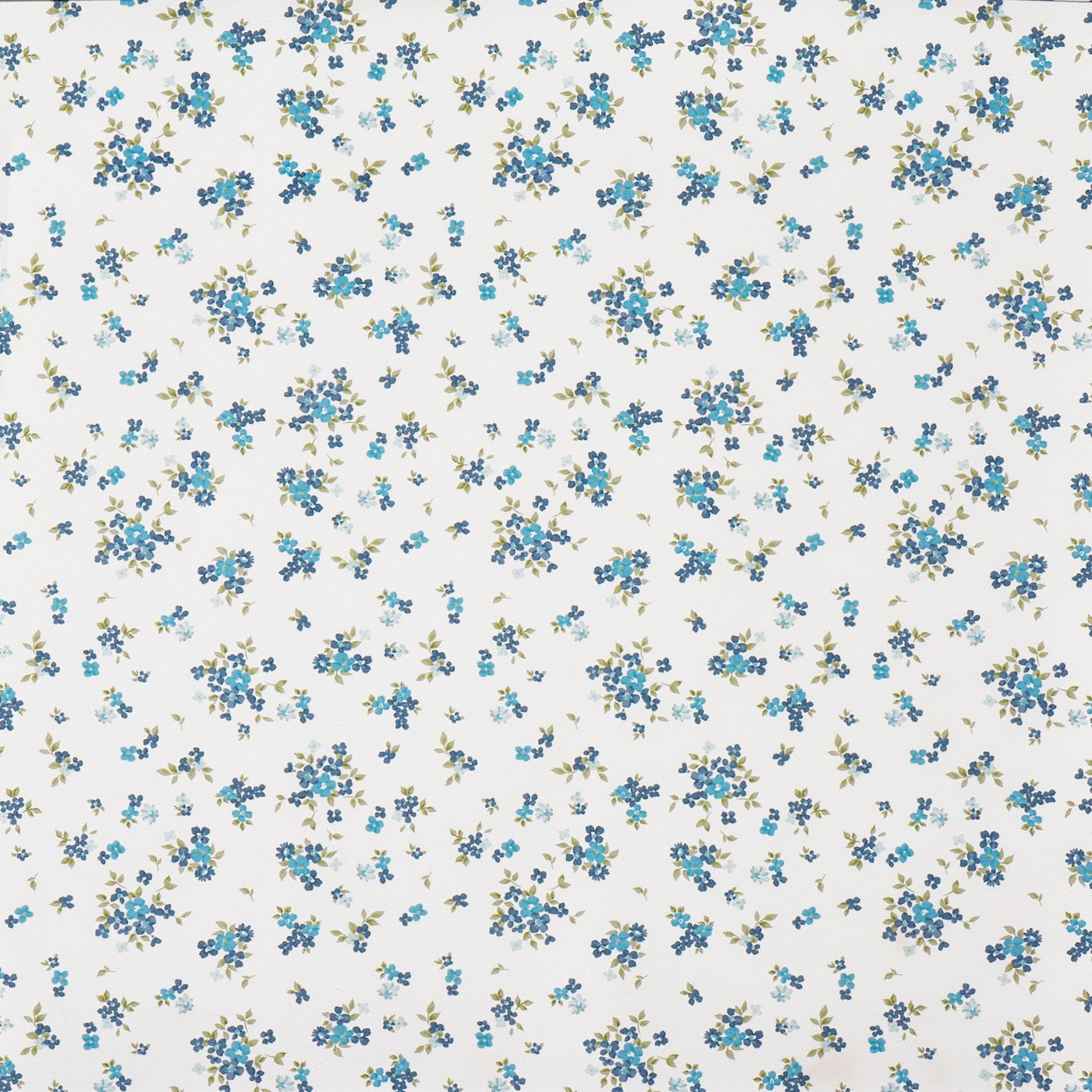 Mavis Cornflower
