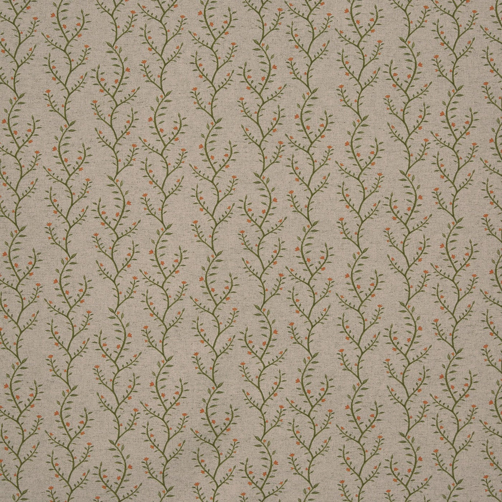 Boughton Ginger (pts119)