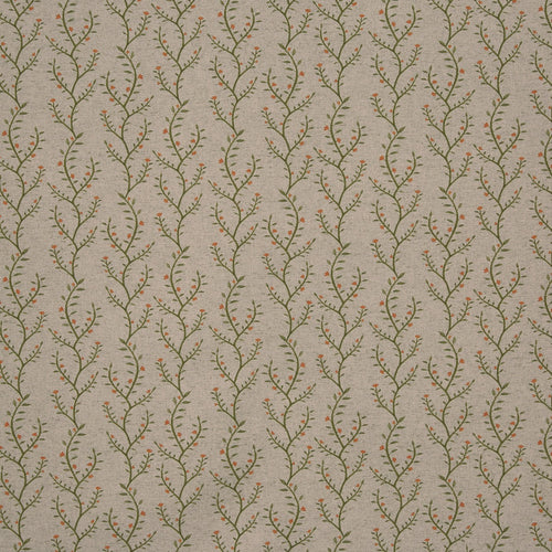 Boughton Ginger (pts119)