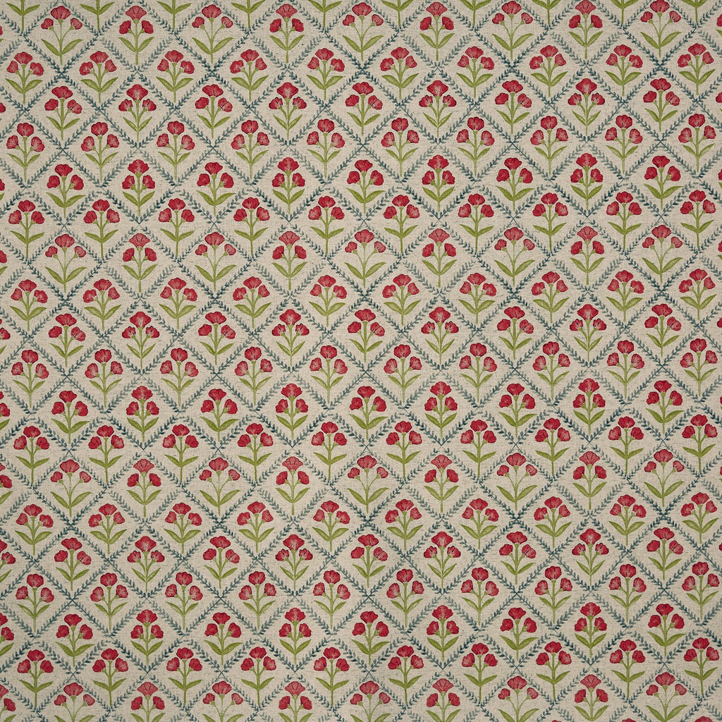 Chatsworth Poppy (pts119)