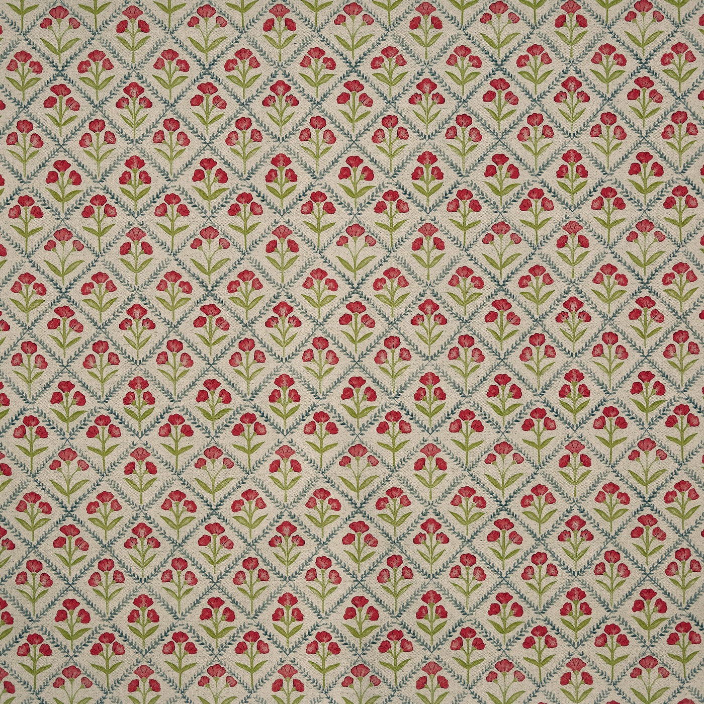 Chatsworth Poppy (pts119)