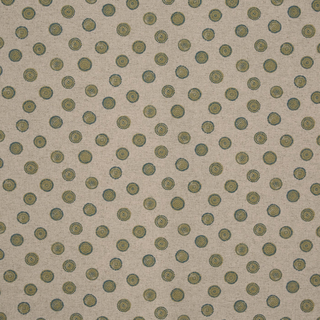 Daisy Olive (pts119)