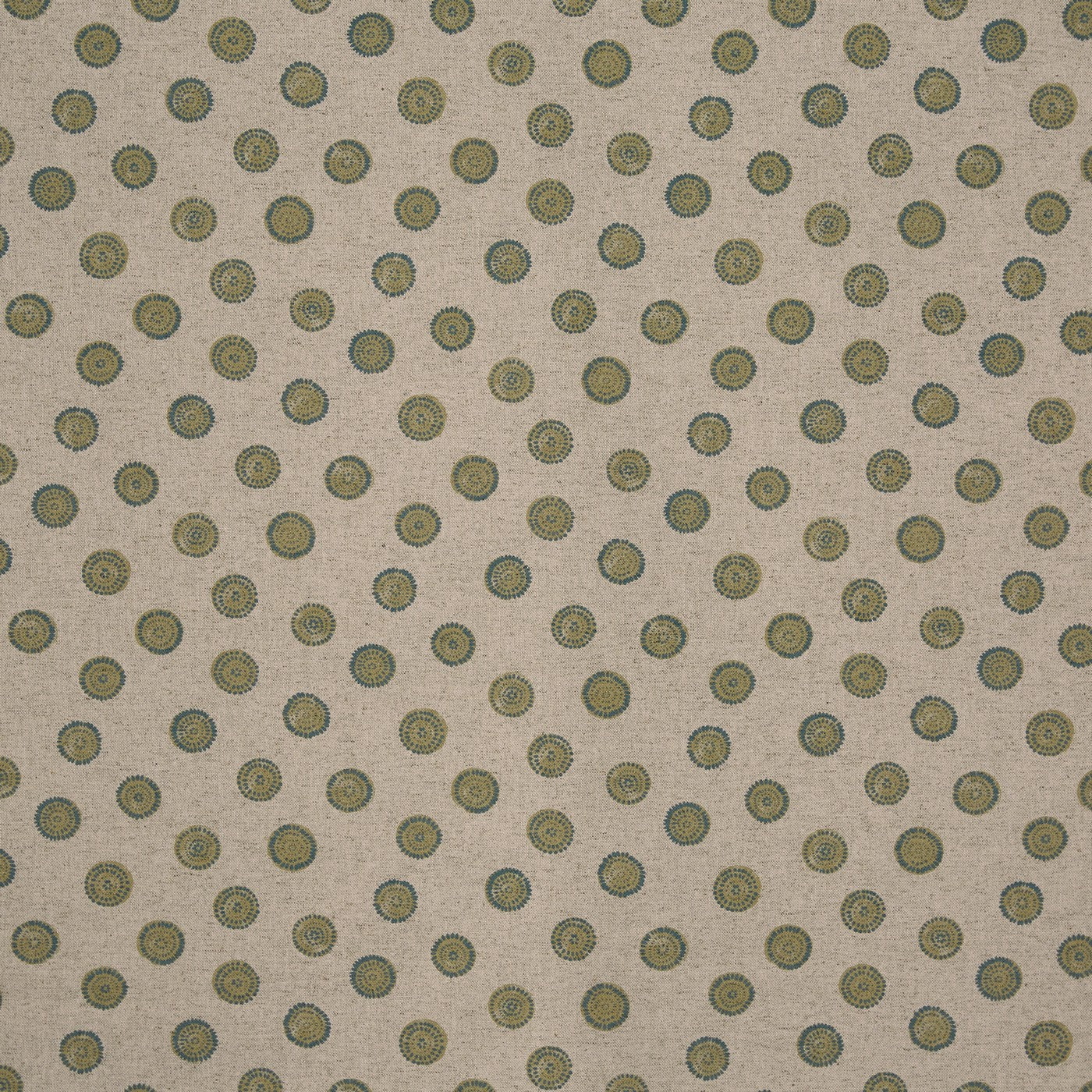 Daisy Olive (pts119)