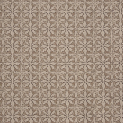 Haddon Nutmeg (pts119)