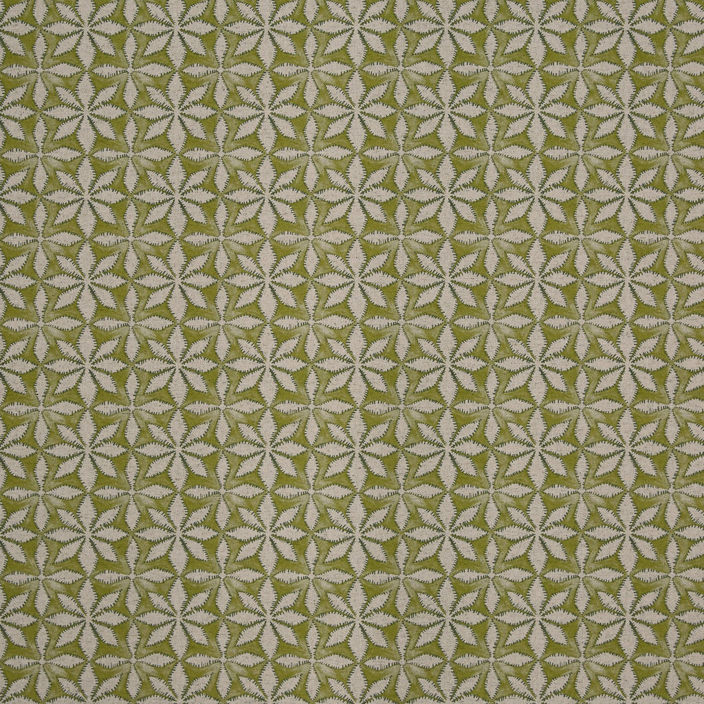 Haddon Apple (pts119)
