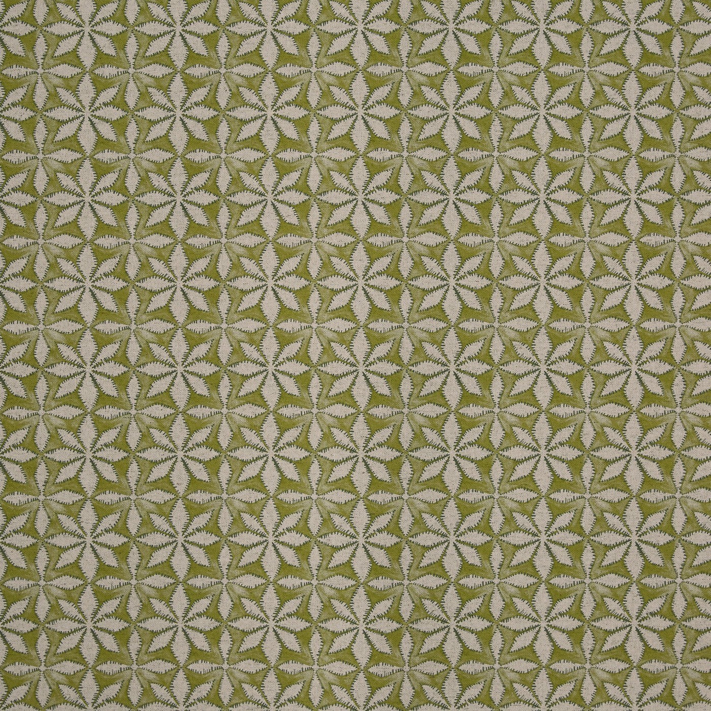 Haddon Apple (pts119)